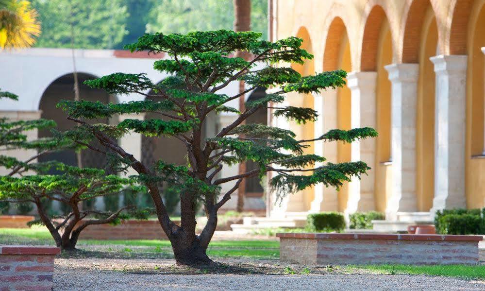 Отель La Bastide En Gascogne Барботан-ле-Терм Экстерьер фото